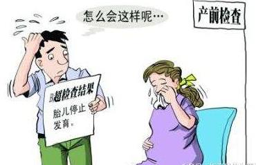 胚胎停育怎么回事 胚胎停育怎么回事