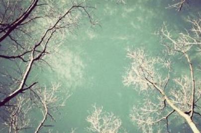 海明威真正死因