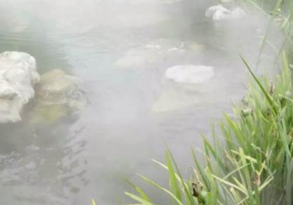 春分竖蛋是什么意思 春分竖蛋是什么意思