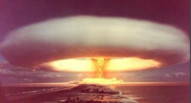 核辐射过后植物真的没事吗