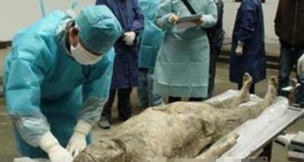 貂蝉死后竟被凌辱 貂蝉死后竟被凌辱