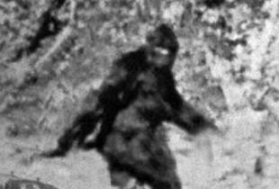 幽威是澳洲野人吗