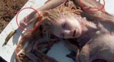 1962年活鲛人现身事件 1962年活鲛人现身事件