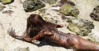 1962年活鲛人现身事件 1962年活鲛人现身事件