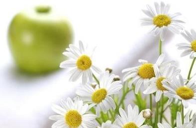 湿气重有什么表现