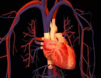 心脏供血不足有什么表现