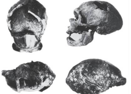 为什么史前人要吃人肉