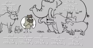 为什么史前人要吃人肉