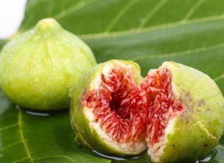 无花果功效 无花果功效