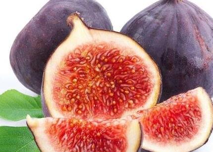 无花果功效 无花果功效