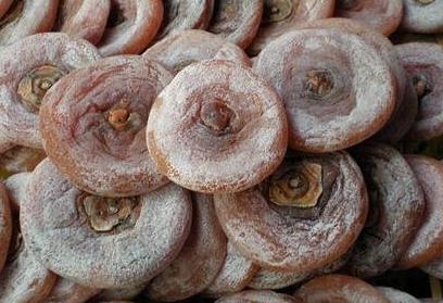 柿子柿饼不能跟什么一起吃