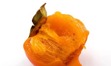 柿子柿饼不能跟什么一起吃