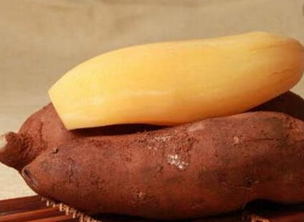 雪莲果有什么功效