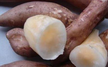 雪莲果有什么功效