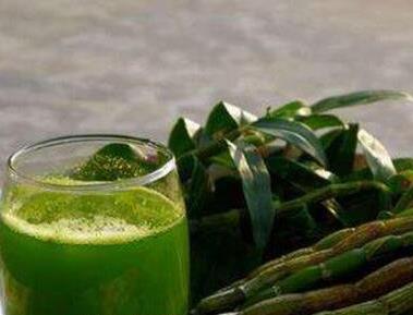 铁皮石斛有什么功效