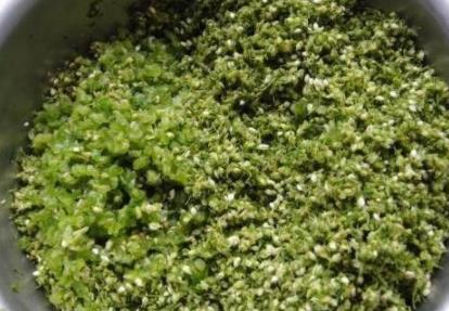 韭菜花怎么腌制 韭菜花怎么腌制