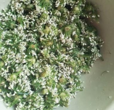 韭菜花怎么腌制 韭菜花怎么腌制