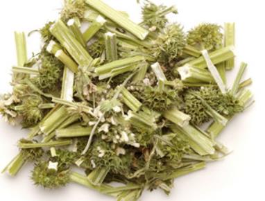 益母草有什么功效