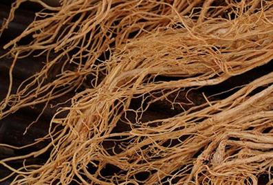 人参有什么功效