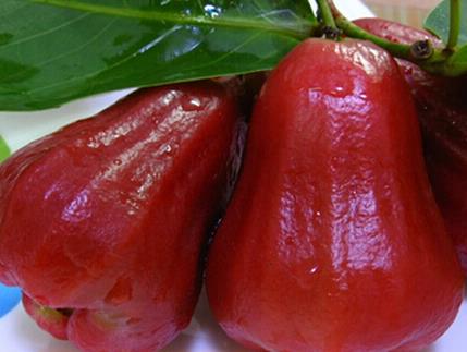 莲雾有什么功效 莲雾有什么功效