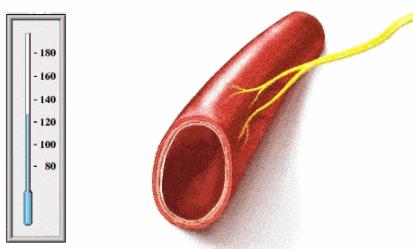 低压高是什么原因造成的 低压高是什么原因造成的
