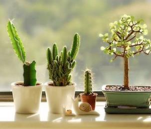 缺乏安全感如何治愈 缺乏安全感如何治愈