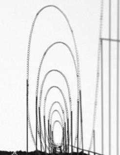 安乐死过山车记录你的一生 安乐死过山车记录你的一生