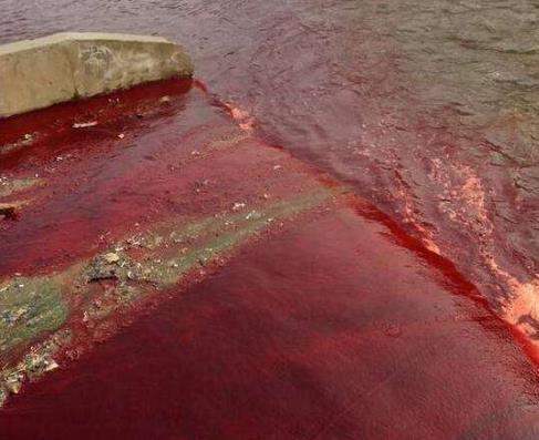 世界上最怪的雨 世界上最怪的雨