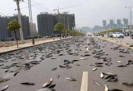 世界上最怪的雨 世界上最怪的雨