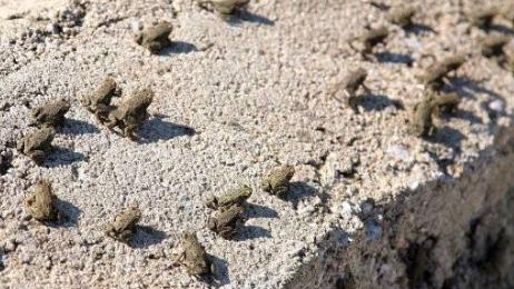 世界上最怪的雨 世界上最怪的雨