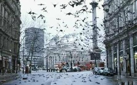 世界上最怪的雨