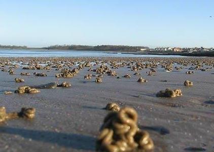 世界上最怪的雨