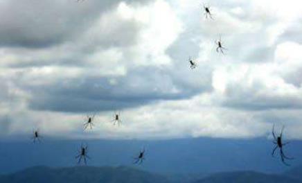 世界上最怪的雨