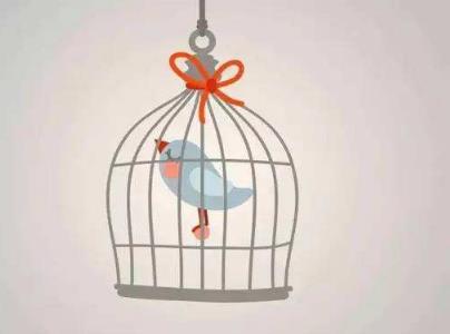 身边常见的十大效应 身边常见的十大效应