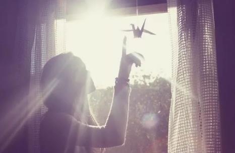 又一滴滴女乘客遇害 又一滴滴女乘客遇害