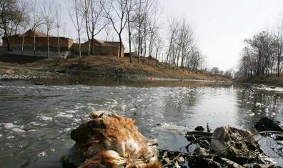 中国七大死亡村