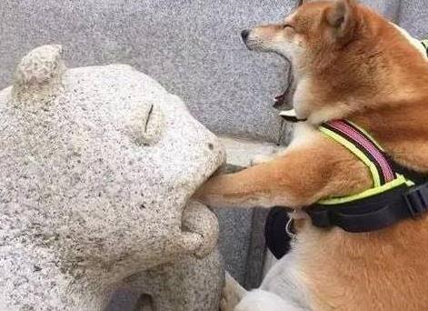 奥斯卡欠你一座小金人什么意思