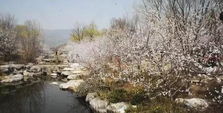 桃花源居然暗藏玄机