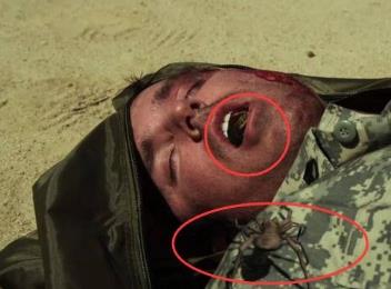 世界上最大的食人蛛