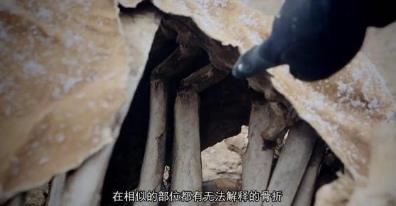 美国屠牛事件 美国屠牛事件