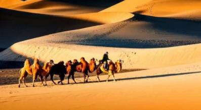 沙漠的西瓜不能吃？沙漠西瓜为什么不能吃