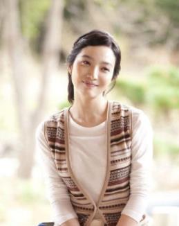 李敏英为什么终身不孕：李敏英演过的电视剧