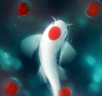 锦鲤是什么意思:网络语锦鲤是什么意思 锦鲤是什么意思:网络语锦鲤是什么意思