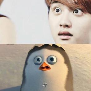 都暻秀为什么叫鹅王:都暻秀为什么那么沉闷 都暻秀为什么叫鹅王:都暻秀为什么那么沉闷