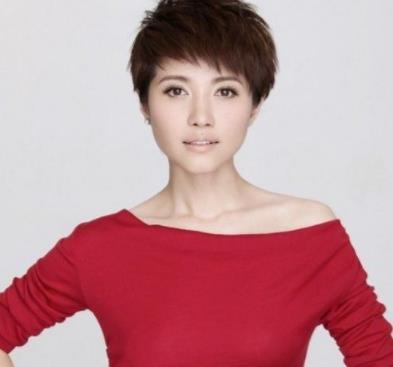 颜丙燕个人资料:颜丙燕为什么不结婚 颜丙燕个人资料:颜丙燕为什么不结婚