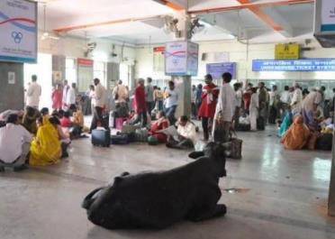 印度的火车:这样的印度火车你会坐吗 印度的火车:这样的印度火车你会坐吗