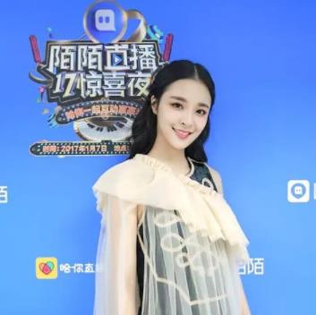 李莎旻子为什么消失了：李莎旻子整容前后