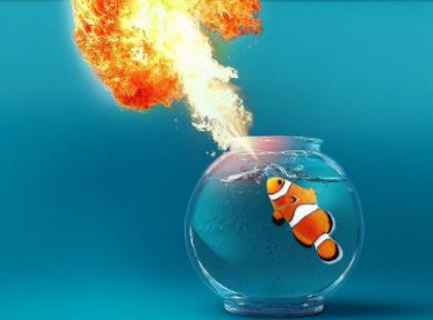 喷火鱼会喷火吗:喷火鱼是怎么喷火的 喷火鱼会喷火吗:喷火鱼是怎么喷火的