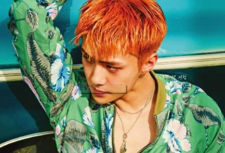 朴灿烈kokobop写真：朴灿烈kokobop手机壁纸