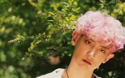 朴灿烈kokobop写真：朴灿烈kokobop手机壁纸